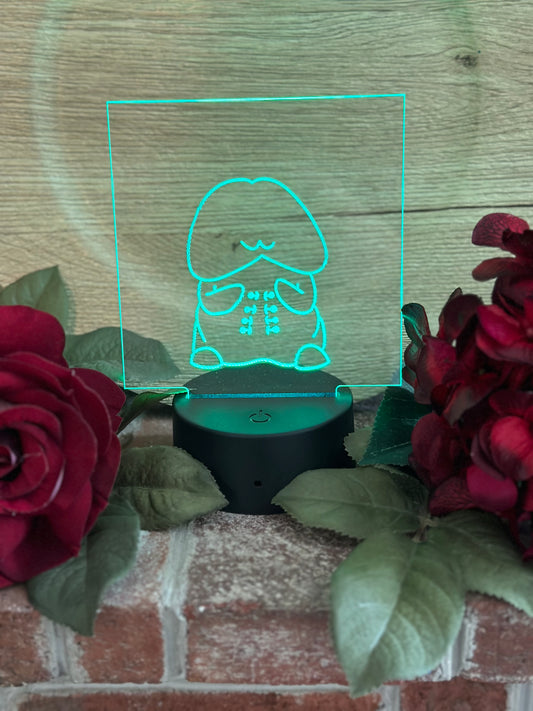 LED light- Mr Ribbed