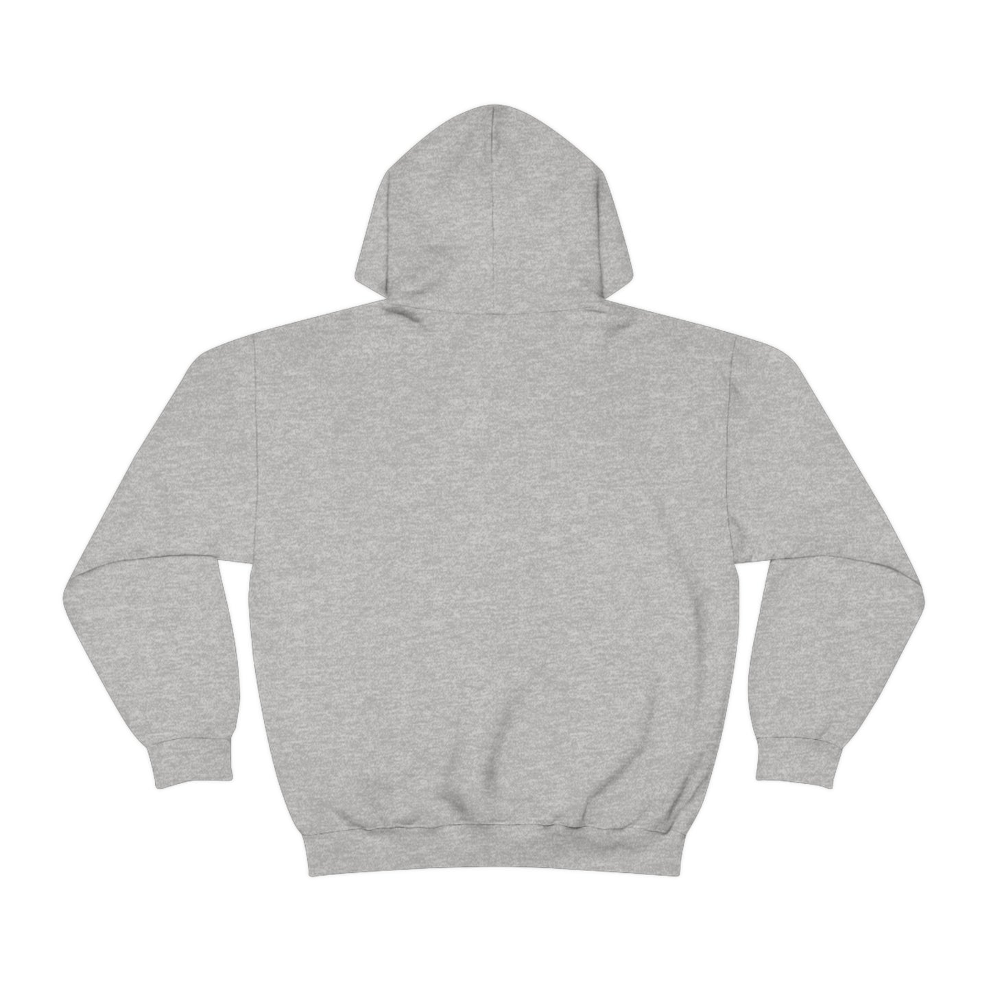 Aplana Island Tourist Hooded Sweatshirt