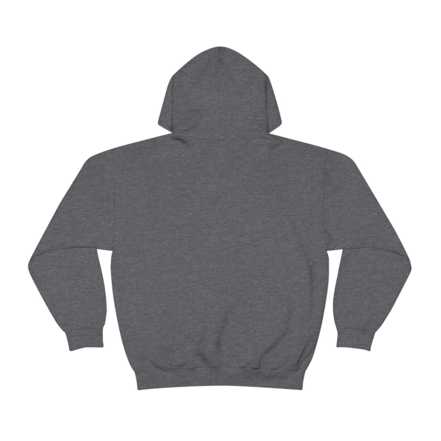 Aplana Island Hooded Sweatshirt