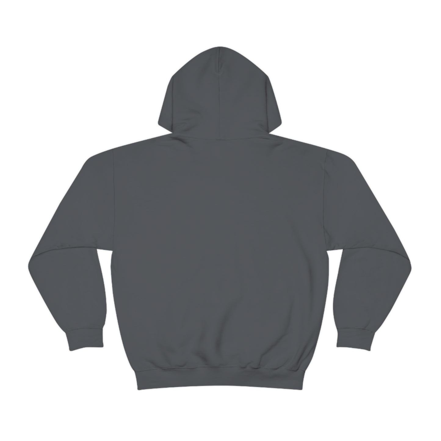 Aplana Island Tourist Hooded Sweatshirt