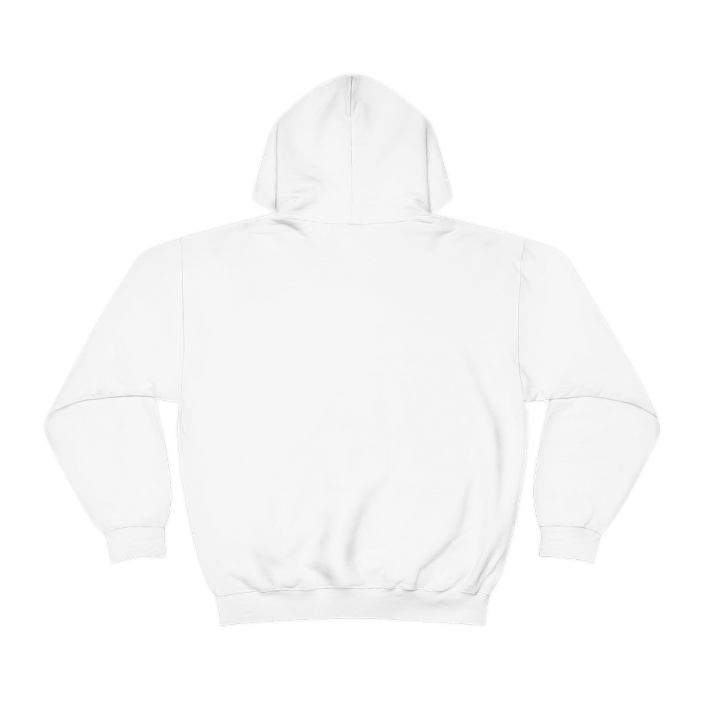 Aplana Island Tourist Hooded Sweatshirt