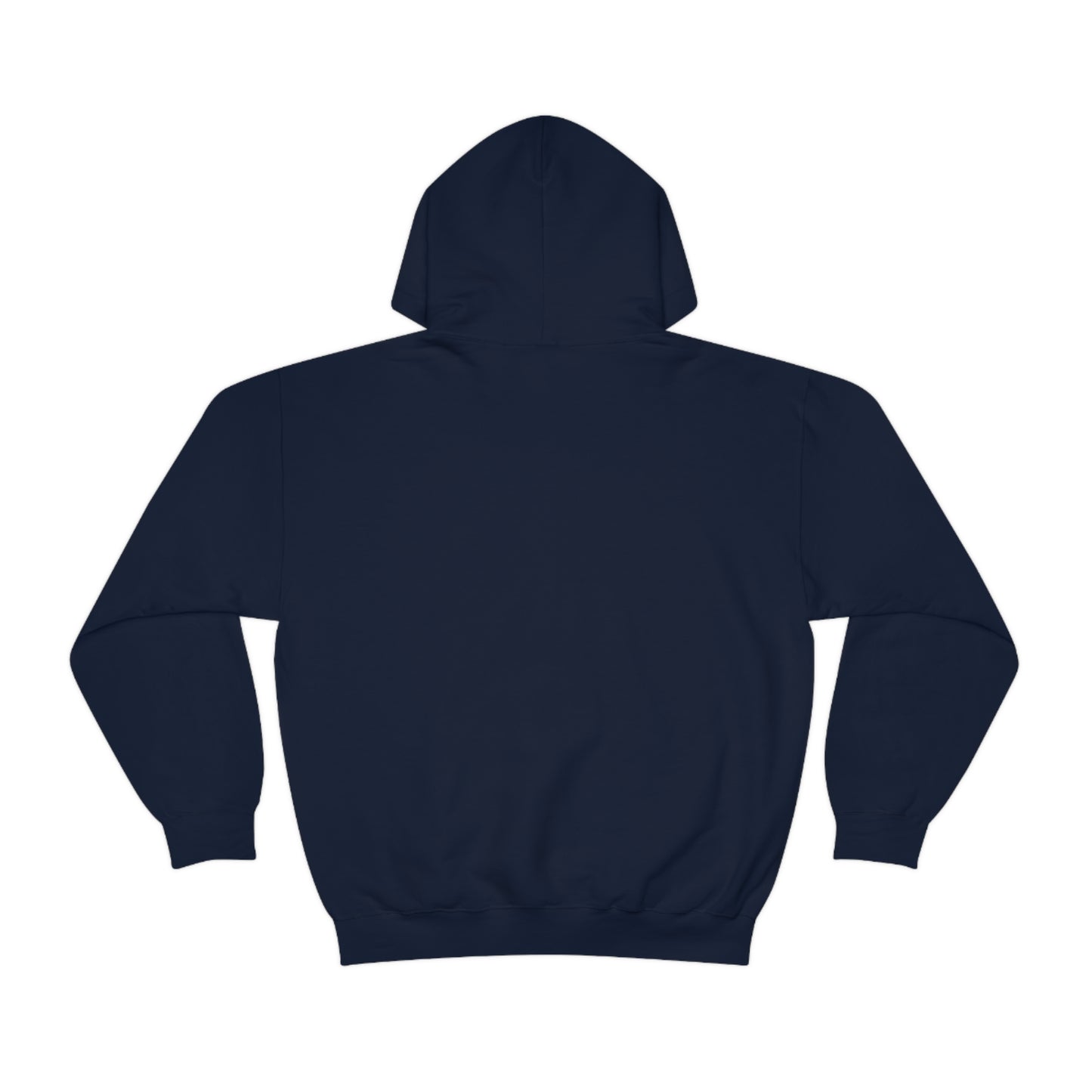 Aplana Island Hooded Sweatshirt