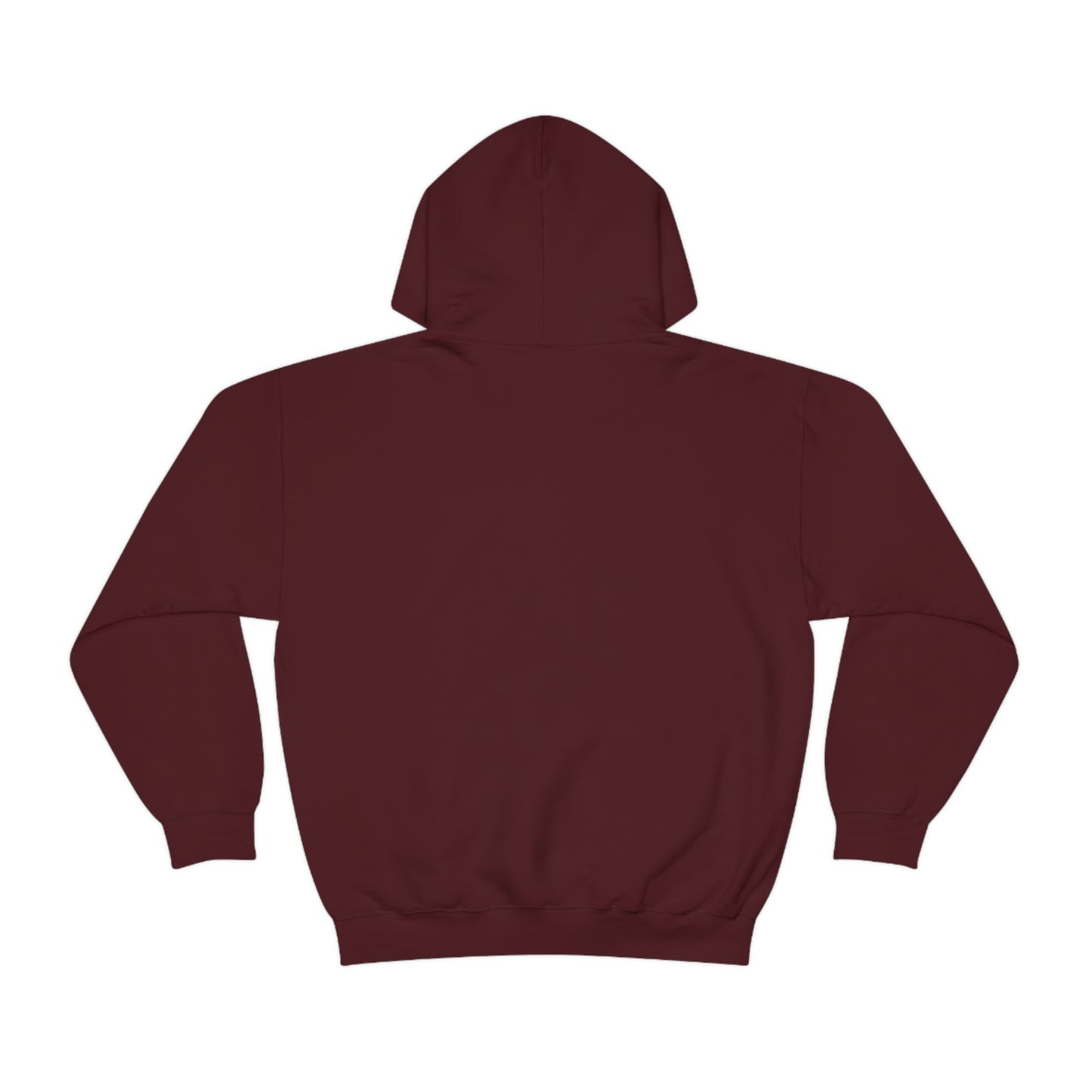 Aplana Island Hooded Sweatshirt