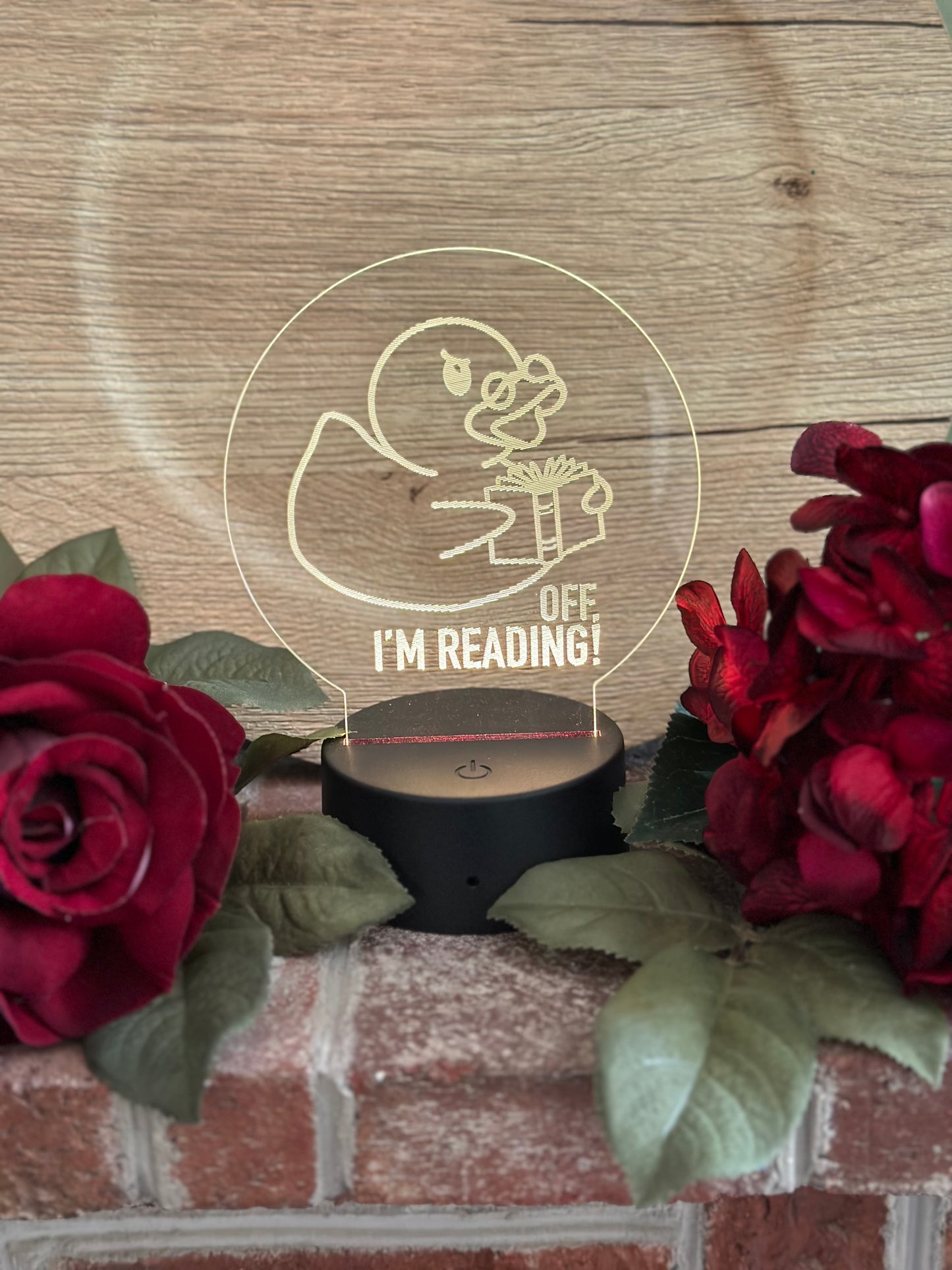 LED Light - Duck Off I'm Reading