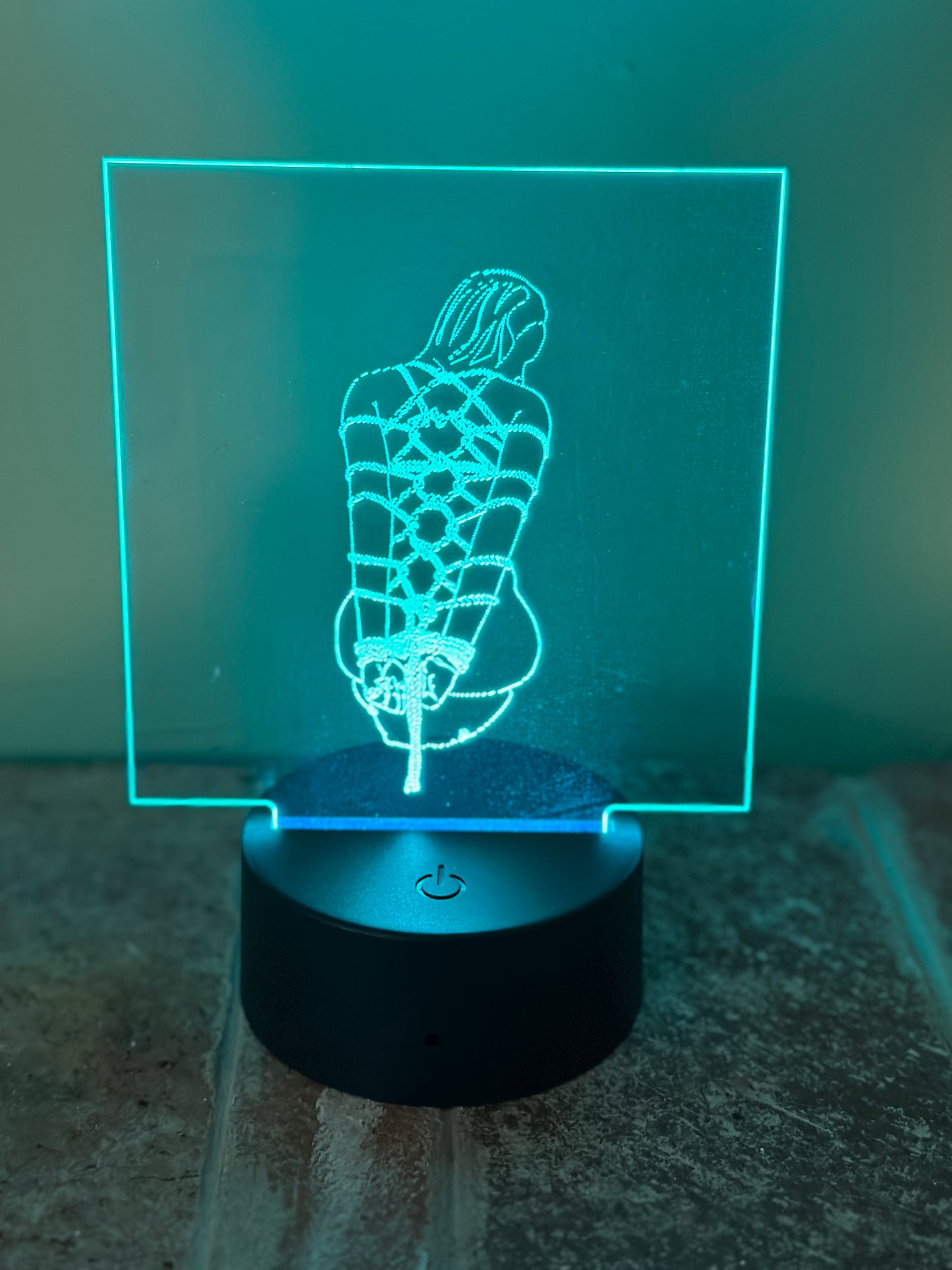 LED light - Rope Bunny