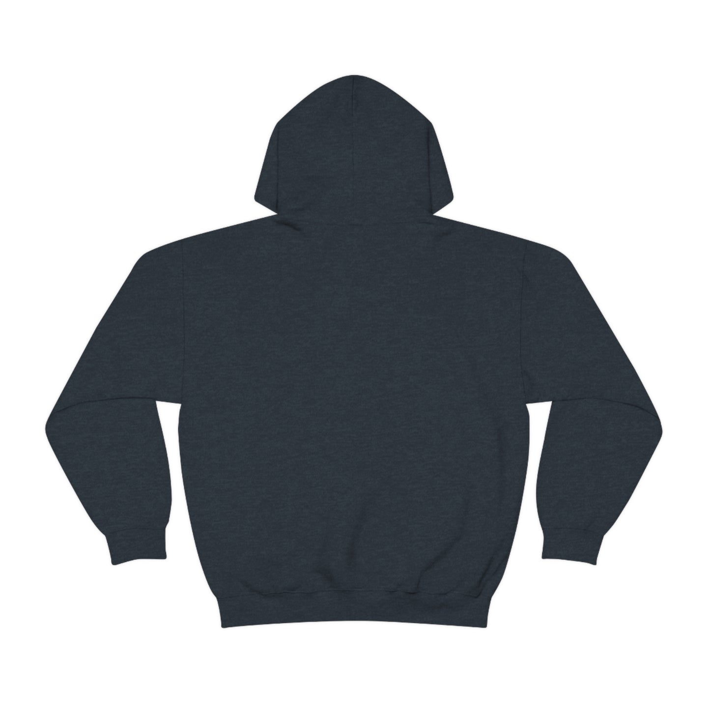 Aplana Island Tourist Hooded Sweatshirt