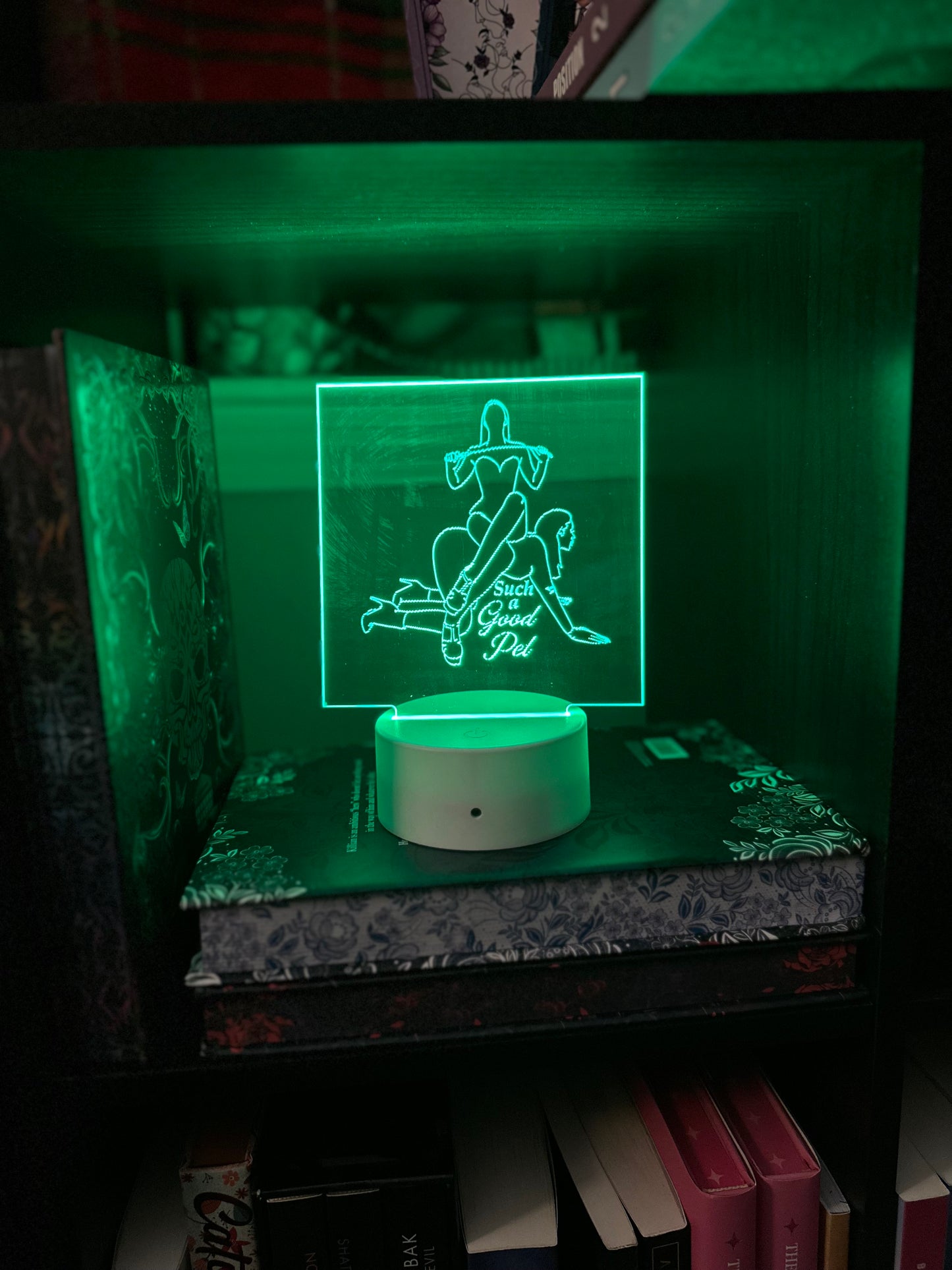 LED light - Good Pet