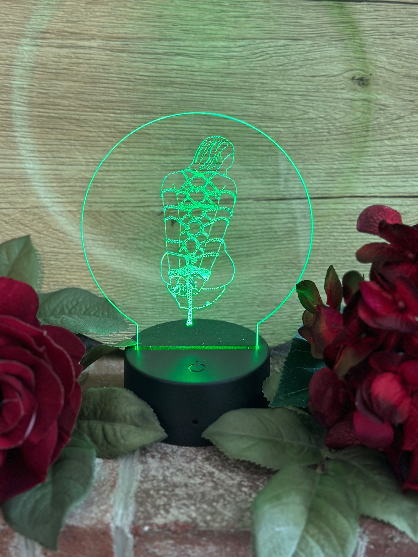 LED light - Rope Bunny